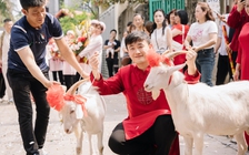 'Bật mí' chuyện chú rể mang hai con dê đi hỏi vợ