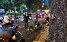 TP.HCM: Gãy nhánh cây cổ thụ làm một bé trai bị thương nặng