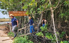 Ngư dân 'đổi đời' nhờ... làm du lịch sinh thái dưới tán rừng phòng hộ