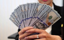 Giá USD hôm nay 10.6.2025: Trong nước dậm chân tại chỗ