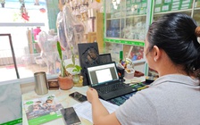 Hộ kinh doanh lộ doanh thu lớn khi kê khai thực tế