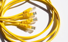 Tại sao một số cáp Ethernet có màu vàng?