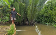 Hơn 700 hộ dân ở xã nông thôn mới 'khát' nước sạch