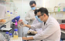 Thuê chuyên gia, nhà khoa học làm công chức lãnh đạo