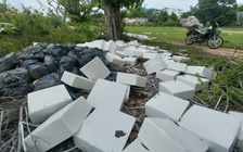 Phôi xà phòng không rõ nguồn gốc đổ ven đường đê sông Dinh tại Ninh Thuận