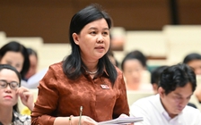 'Mấy nghìn văn bản, không thể hình dung cán bộ, người dân áp dụng sao cho đúng'