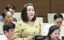 Sáp nhập tỉnh, 'dừa Bến Tre, hạt điều Bình Phước, hang Sơn Đoòng…' bảo hộ thế nào?