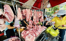 Giá heo hơi hôm nay 12.6.2025: Heo, gà cùng neo cao