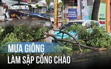 Mưa giông tại Cần Thơ: Cây xanh bật gốc, cổng chào đổ sập