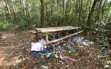 Clip rác chất đống sau giải chạy trong rừng gây bức xúc: Địa phương nói gì?