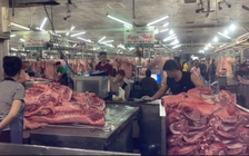 Giá heo hơi hôm nay 13.6.2025: Ổn định trên cả nước