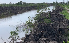 Cà Mau: Nhiều dự án thủy lợi thi công khi chưa chọn nhà thầu