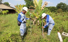 TP.HCM: Củ Chi phải giải ngân gần 4.900 tỉ trước khi bỏ cấp huyện