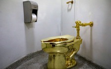 Hai tên trộm lãnh án, bồn cầu vàng vẫn chưa rõ tung tích