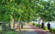 Tận mắt chiêm ngưỡng sự bình yên bên dòng sông Danube xanh