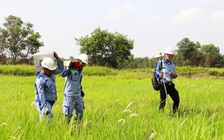 TP.HCM gấp rút giải ngân trước ngày cấp huyện kết thúc sứ mệnh