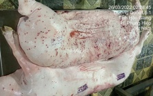 Công ty C.P bị tố 'bán thịt bẩn': Hướng xử lý cán bộ thú y làm sai
