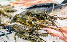 Hé lộ 5 hộ kinh doanh có doanh thu trên 200 tỉ đồng/năm