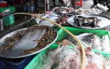 5 hộ kinh doanh có doanh thu trên 200 tỉ đồng/năm nộp thuế bao nhiêu?