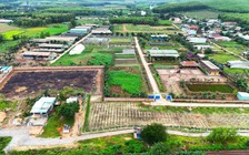 Sẽ thu hồi dự án sản xuất rau an toàn tại Bình Định do sai phạm