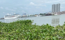 Phát hiện thi thể trẻ sơ sinh ở bờ sông Sài Gòn