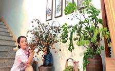 Không ngờ cắm trái cây cũng 'viral', cô giáo Phú Thọ gây sốt mạng xã hội