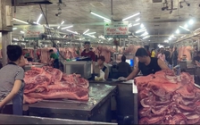 Giá heo hơi hôm nay 18.6.2025: Tiếp tục sụt giảm