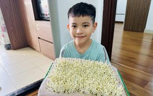 Cách làm giá đỗ sạch không tưới nước, trắng nõn, không lo hóa chất độc hại