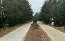 Khởi tố 2 giám đốc doanh nghiệp vi phạm tại dự án đường ven biển