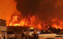 Hơn 60 nhà khoa học ra 'cảnh báo đỏ' đối với trái đất