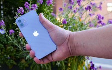 Apple hồi sinh màu sắc sang trọng trên iPhone 17