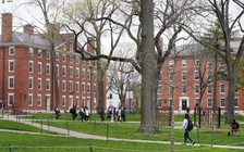 Thẩm phán Mỹ hoãn vô thời hạn lệnh cấm Đại học Harvard tuyển sinh viên quốc tế