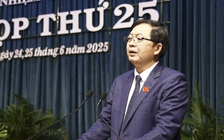 Bình Định thu ngân sách trên 9.284 tỉ đồng trước khi sáp nhập với Gia Lai