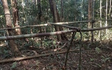 Clip rác chất đống sau giải chạy: Ban tổ chức phản hồi 'có thiếu sót'