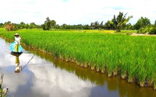 Cà Mau: Cấp huyện kỷ luật sai quy trình, chủ tịch tỉnh yêu cầu hủy bỏ