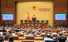 Cán bộ, công chức có thể tham gia gìn giữ hòa bình Liên Hiệp Quốc