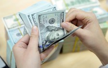 Giá USD chịu sức ép