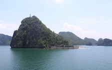 Du khách Đài Loan đột tử trên tàu du lịch Hạ Long