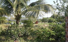 Cà Mau: Kỷ luật phó chủ tịch huyện vụ lão thành cách mạng tố bị chiếm đất