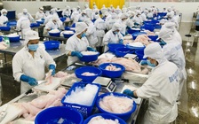 Phập phồng thuế đối ứng trước 'giờ G'