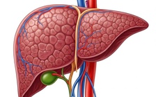 Loại thuốc 'hễ nhức đầu, sổ mũi là uống' có thể âm thầm làm hỏng gan