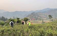 Uống trà đi!: Bản Liền, chuyện giờ mới kể