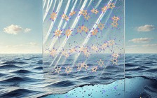 Chế tạo thành công vật liệu nhựa tan nhanh trong nước biển, không để lại dấu vết