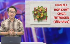 BÍ QUYẾT ÔN THI THPT 2025 | Môn hóa | Chuyên đề 9 | Hợp chất chứa Nitrogen (Tiếp theo)