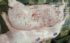 Hé lộ tình tiết vụ Công ty C.P bị tố bán thịt bẩn