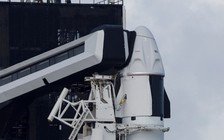 Tranh cãi với ông Trump, ông Musk dọa lập tức dừng chương trình tàu không gian SpaceX