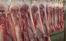 Giá heo hơi hôm nay 6.6.2025: Giữ mốc 71.000 đồng/kg