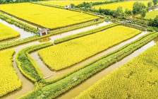 Chuyển công an điều tra dự án thanh toán 'khống' 49 tỉ đồng tại Bạc Liêu