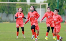 Tại sao Thanh Nhã bị loại, đội tuyển nữ Việt Nam có bảo vệ thành công ngôi hậu khu vực?