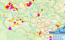 Miền Bắc mưa lớn dồn dập, cảnh báo lũ quét, sạt lở đất lan rộng